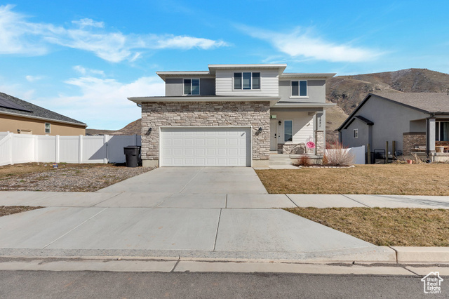 Nice two-story home located at the lovely Springside Meadows community! Spacious home with all stainless steel appliances and an unfinished basement with lots of potential. Big backyard and you are located near shopping centers and the Payson Temple.