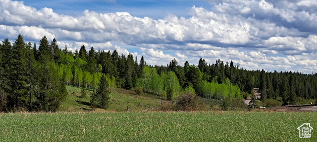 View of mother earth's splendor