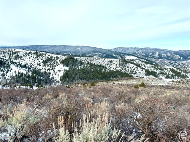 Lava Hot Springs, Idaho 83246, ,Land,Recreational,1989257