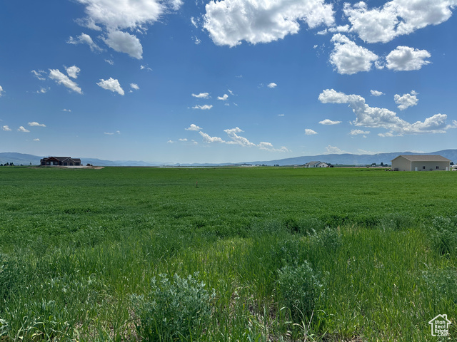 1 DIANE DR, Grace, Idaho 83241, ,Land,Residential,1 DIANE DR,1990081