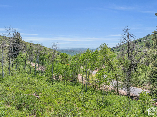 1558 TOLLGATE CANYON RD, Coalville, Utah 84017, ,Land,Residential,1558 TOLLGATE CANYON RD,1994603