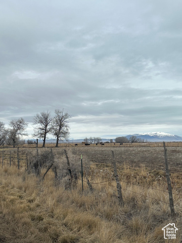 Goshen, Utah 84633, ,Land,Agriculture,1995037