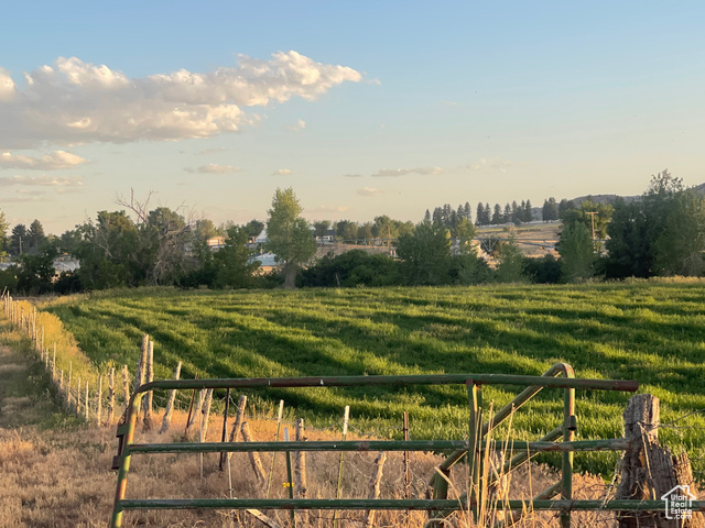 View of yard featuring a rural view