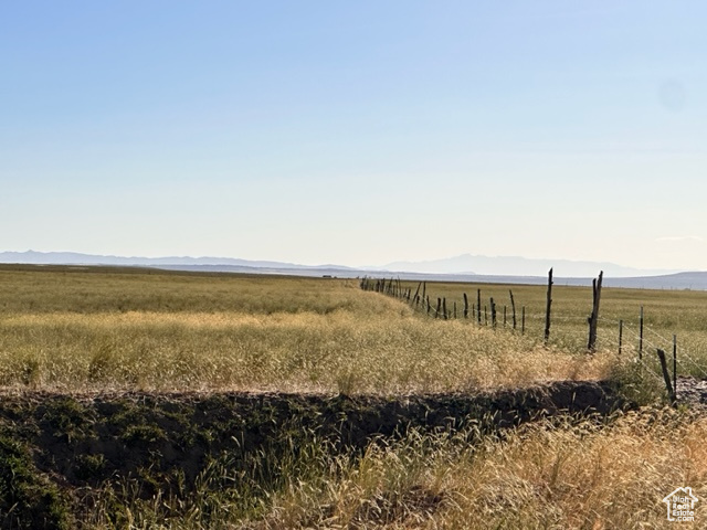 View of local wilderness with a rural view