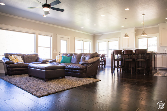 Living room with dark hardwood / wood-style flooring, ornamental molding, and plenty of natural light