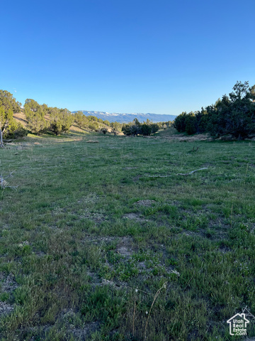 View of yard featuring a rural view