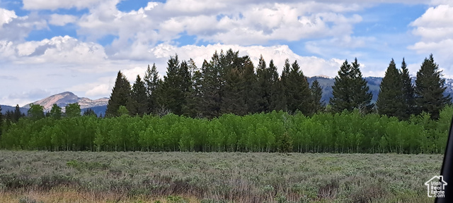 View of mother earth's splendor with a mountain view