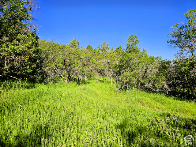 4 OAK CREST DR, Mt Pleasant, Utah 84647, ,Land,Recreational,4 OAK CREST DR,2004227