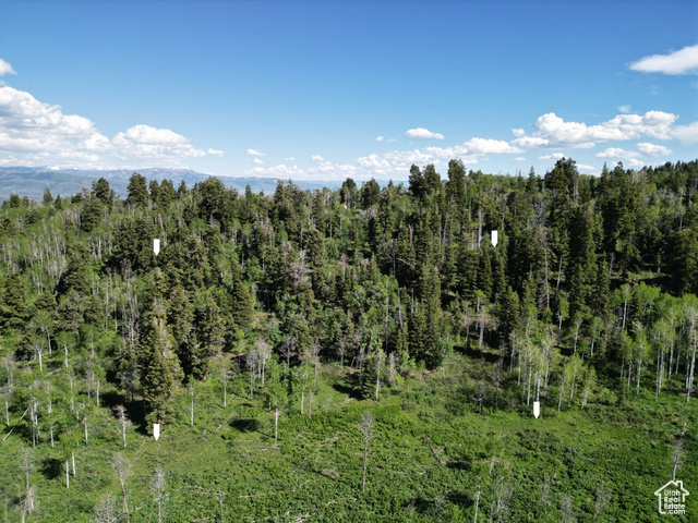 2241 S FOREST MEADOW RD, Wanship, Utah 84017, ,Land,Residential,2241 S FOREST MEADOW RD,2005089