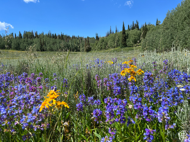 Fairview, Utah 84629, ,Land,Recreational,2006136