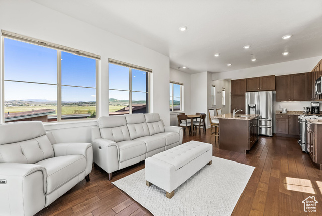 Living room with sink, plenty of natural light, and dark hardwood / wood-style flooring