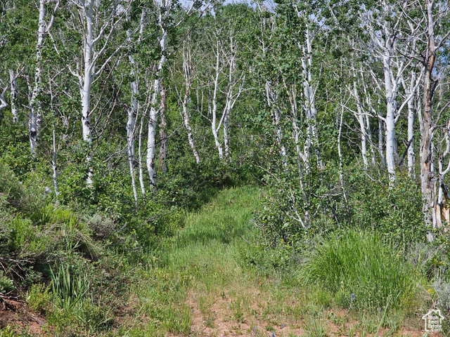 Hyrum, Utah 84319, ,Land,Residential,2006788