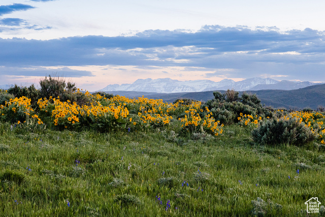 1235 E HOYT PEAK RANCH RD, Marion, Utah 84036, ,Land,Residential,1235 E HOYT PEAK RANCH RD,2006984