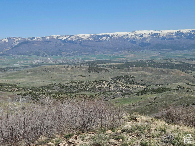 2008324.jpg