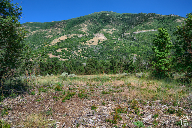 Mountain View from Lot