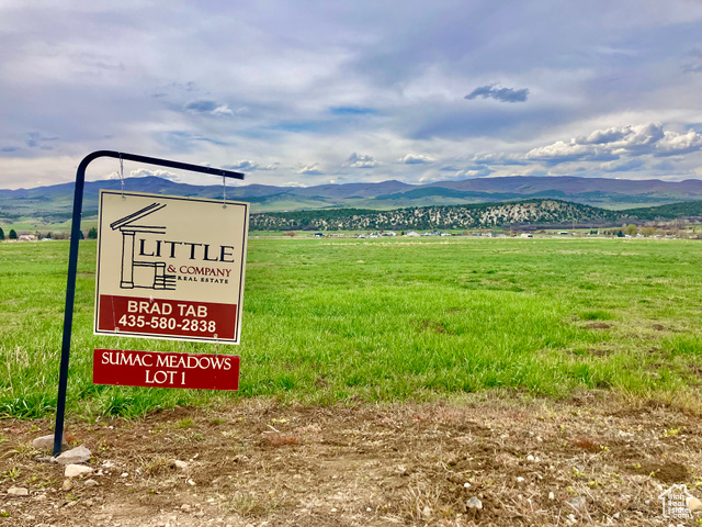 25523 N 11440 E, Fairview UT 84629