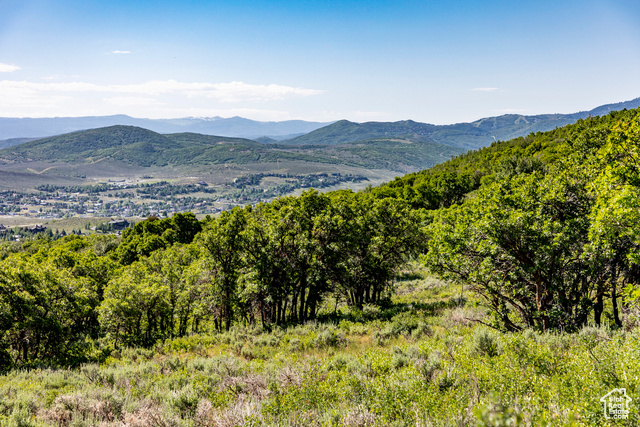 1625 W RED HAWK TRL, Park City, Utah 84098, ,Land,Residential,1625 W RED HAWK TRL,2009362