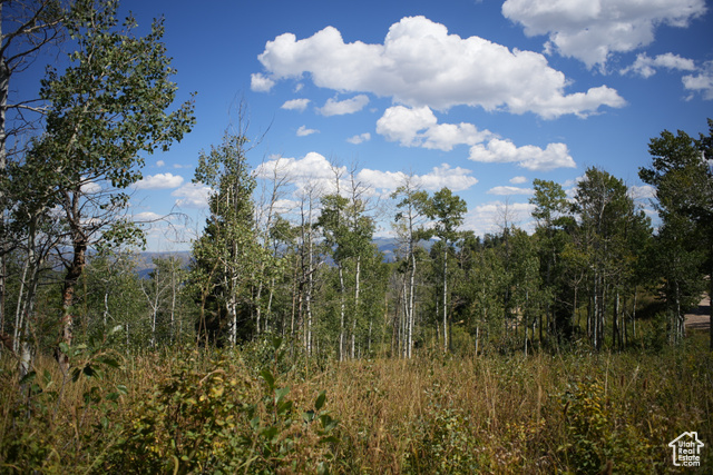 2481 FOREST MEADOW ROAD RD, Wanship, Utah 84017, ,Land,Residential,2481 FOREST MEADOW ROAD RD,2009754