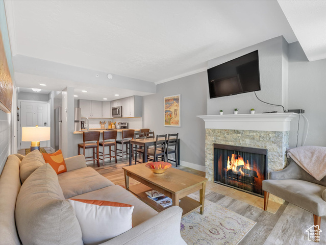 Living room featuring a stone fireplace and light wood-type flooring