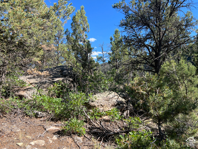 La Sal, Utah 84530, ,Land,Recreational,2010591