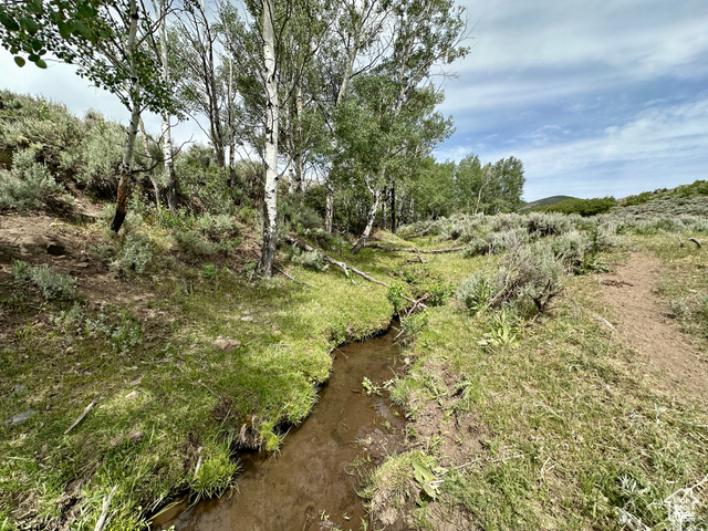 Kamas, Utah 84036, ,Land,Agriculture,2011066