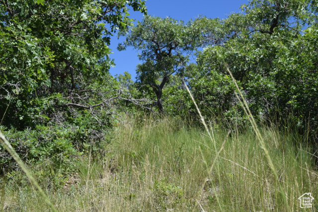 View of landscape