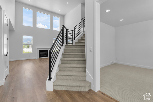 Staircase featuring wood-type flooring and a high ceiling