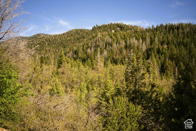 2 PINE CREEK RNCH, Mt Pleasant, Utah 84647, ,Land,Recreational,2 PINE CREEK RNCH,2012017