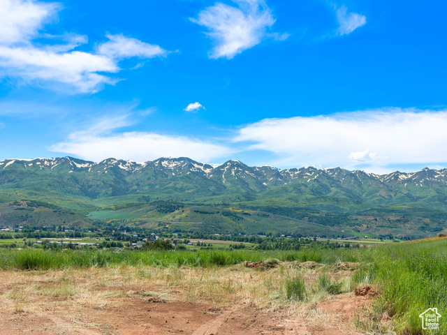 Dirt Road leads to future build site. Flat building site with views.