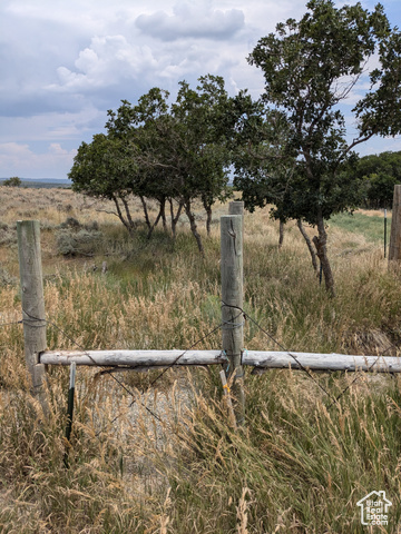 24 N DEER HAVEN PARK RD, La Sal, Utah 84530, ,Land,Agriculture,24 N DEER HAVEN PARK RD,2013730