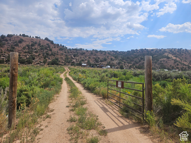 Front Entrance Gate/Driveway