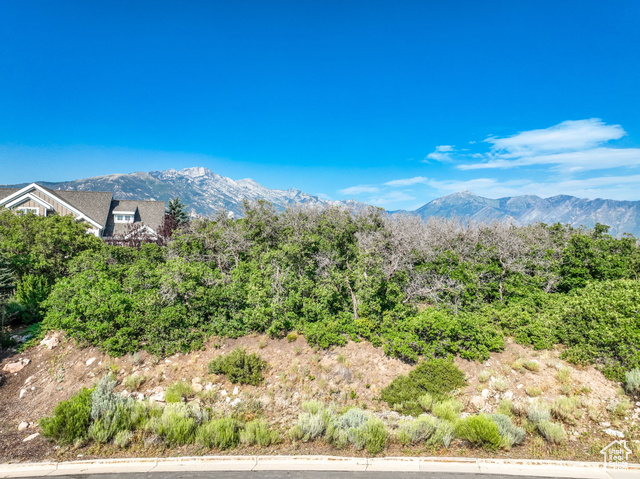 15211 S TALL WOODS DR, Draper, Utah 84020, ,Land,Residential,15211 S TALL WOODS DR,2015111