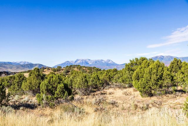 3166 E HORSE MOUNTAIN CIR, Heber City, Utah 84032, ,Land,Residential,3166 E HORSE MOUNTAIN CIR,2016479