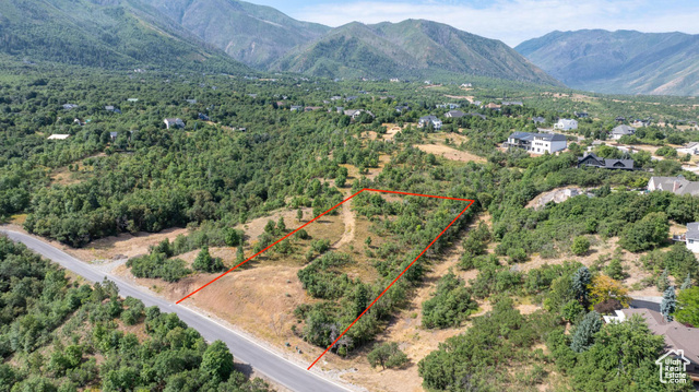 Aerial view with a mountain view