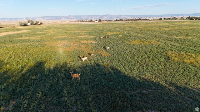 7250 S Hanley Ln, Price, UT 84501 — photo 8