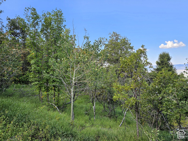 23 PINE CREEK RD, Mt Pleasant, Utah 84647, ,Land,Recreational,23 PINE CREEK RD,2016861