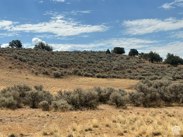 3300 N CEDAR MT, Fillmore, Utah 84631, ,Land,Residential,3300 N CEDAR MT,2017127