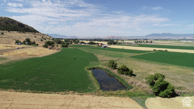 12500 N NORTH MOUNTAIN HOME RD, Cove, Utah 84320, ,Land,Agriculture,12500 N NORTH MOUNTAIN HOME RD,2017145