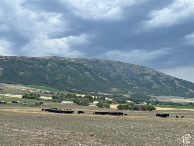 Mountain view featuring a rural view