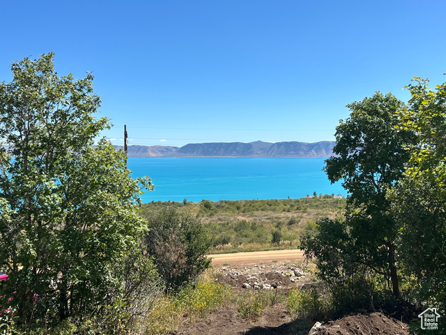 Property view of water with a mountain view