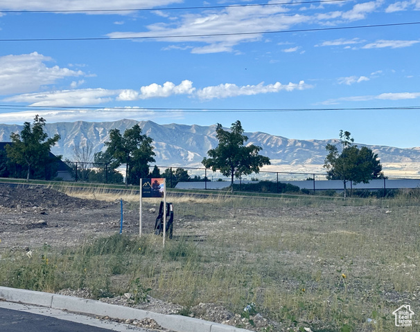 View of yard with a mountain view