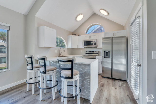 Kitchen featuring white cabinets, appliances with stainless steel finishes, a healthy amount of sunlight, and light hardwood / wood-style floors