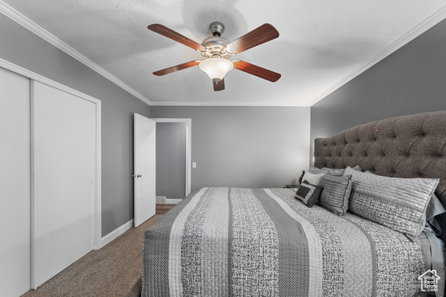 Photo 16 for MLS #2019183 at 6104 W Patti Drive
