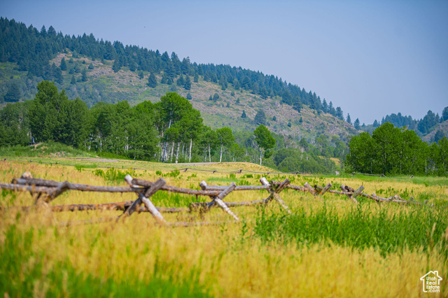 Mountain view featuring a rural view