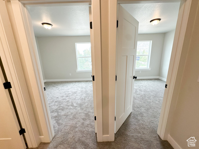 Photo 70 for MLS #2019370 at 626 W Cottle Ln