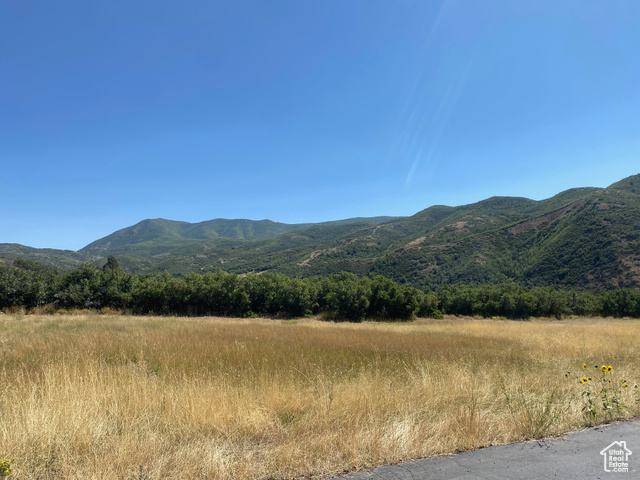 131 S MEADOW DR, Springville, Utah 84663, ,Land,Residential,131 S MEADOW DR,2019729