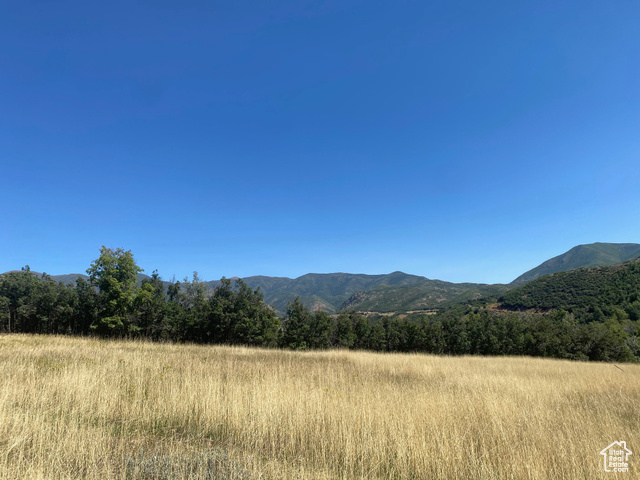 169 S MEADOW DR, Springville, Utah 84663, ,Land,Residential,169 S MEADOW DR,2019730