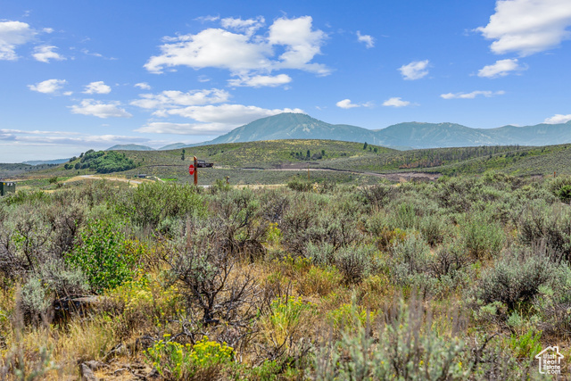 5760 DOUBLE DEER DR, Park City, Utah 84098, ,Land,Residential,5760 DOUBLE DEER DR,2020170