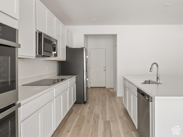 Kitchen with white cabinets, stainless steel appliances, light hardwood / wood-style floors, and sink