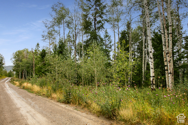 17161 S SUNDANCE DR, Spanish Fork, Utah 84660, ,Land,Residential,17161 S SUNDANCE DR,2020918